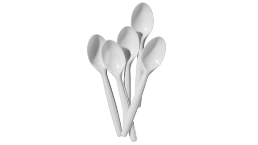 Disposable Spoon 10 Pieces