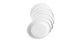 Disposable Plate Medium 10 Pieces
