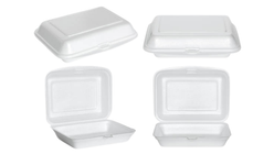 Disposable Lunch Box 10 Pieces
