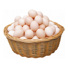 Local Chicken Egg 12 Pieces
