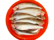 Papda Fish Ready To Cook Big Size 1Kg