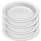 Disposable Plate Large 10 Pieces