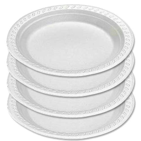Disposable Plate Large 10 Pieces