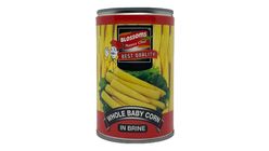Blossoms Canned Food Baby Corn 425g