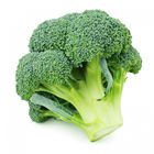 Fresh Thai Broccoli 1 Piece