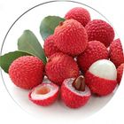 Lychee 50 Pieces