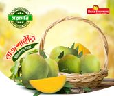 Garden Fresh Himsagor Mango 5KG