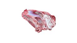 Mutton Head Processed 1 Piece