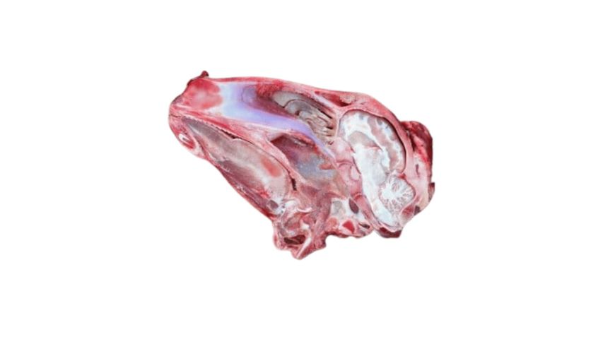Mutton Head Processed 1 Piece