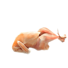 Roast Chicken 275g - 300g