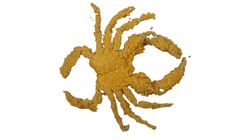 Breaded Soft Shell Crabprocessed 500g
