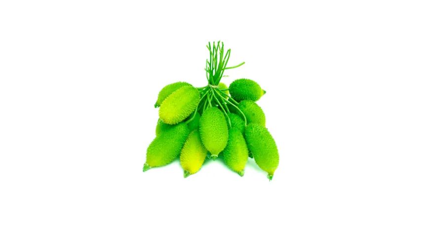 brightfarms Teasel Gourd (Kakrol) 500g ± 25g