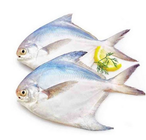 Rupchanda Imported (8-10 pcs) 1kg