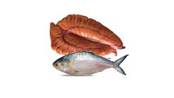 Hilsha Fish Egg Fresh 250g