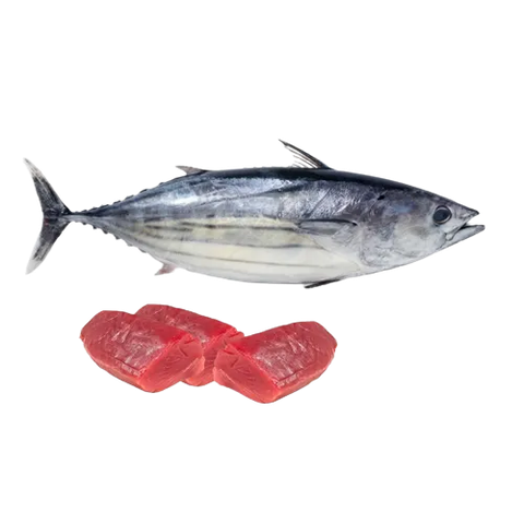 Fresh Sea Fish Tuna Cut And Clean 1kg