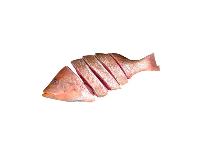 Fresh Sea Fish Red Snapper Cut And Clean 500g