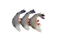 Black Tiger Shrimp Head Less Skin On Large 500g