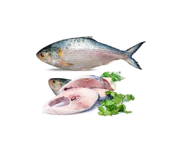 Premium Quality Hilsha Fish Cut & Clean 550g