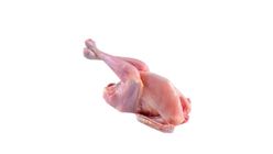 Fresh Soup Chicken 180g