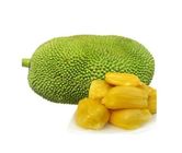 Jackfruit (Kathal) 5kg  (±200g)