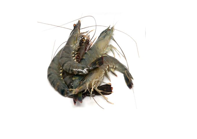 Black Tiger Shrimp Head On Skin On Medium 500g