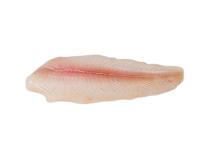 Fresh Sea Dory Fish Fillet 500g