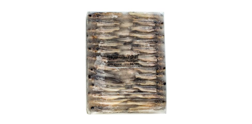 Hawor Tengra Fish Block Processed & Clean 250g
