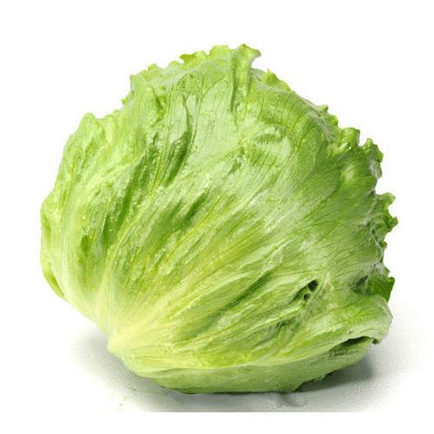 Iceberg Lettuce Imported 500g