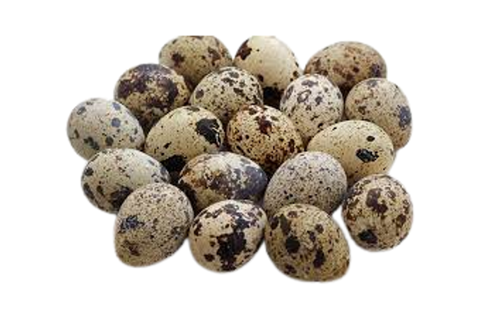 Quail Egg 20 Pieces