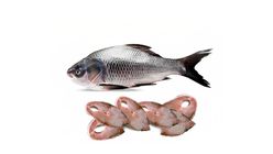 Katol Cut & Clean 1kg