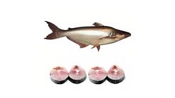 Pangash (Pond) Cut & Clean 1kg Each (+-5%)