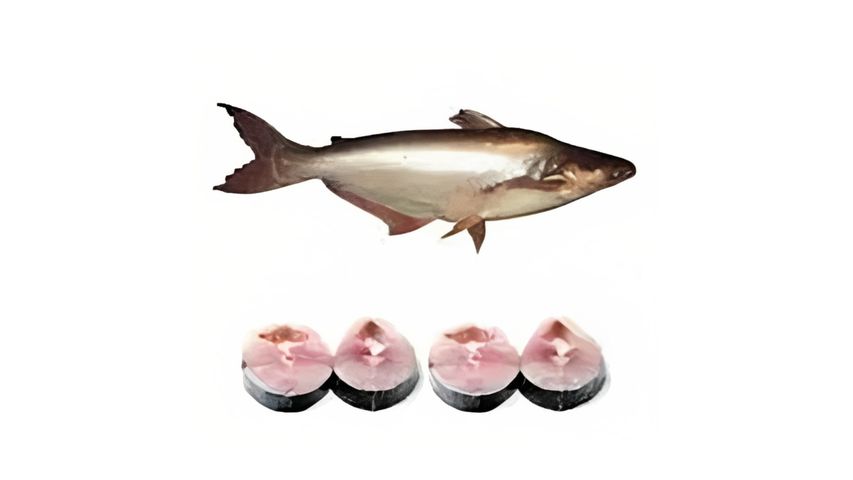 Pangash (Pond) Cut & Clean 1kg Each (+-5%)
