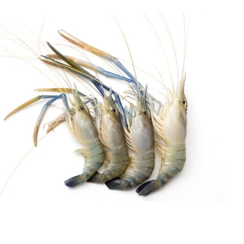 Golda Shrimp Head On Skin On Large 5-6pcs 500g
