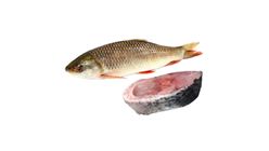 Rui Fish Large Cut & Clean 1kg