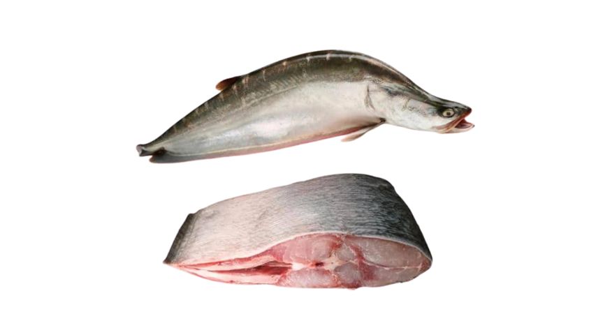 Chitol Fish Large Cut & Clean 500g (4kg+ Sized Fish)