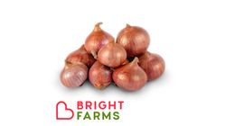 brightfarms Local Onion (Deshi Notun Peyaj) 1Kg