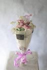 One Pink Chrysanthemums with Babies Breath (5) 1 Unit