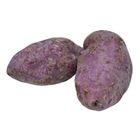 Mz Camote Violet