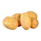 Mt. Zion Potato Regular - 589643