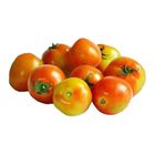 Mt. Zion Tomato Native - 589648