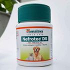 Himalaya Nefrotec DS 60 Tablets