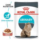 Royal Canin Cat Wet Food Feline Care Nutrition Urinary 85g
