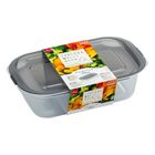 Daiso Food Storage Container Gray (700ml) 1 Piece