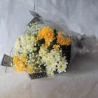 Radiant Sunshine Bouquet 1 Unit