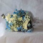 Ocean Breeze Bouquet 1 Unit