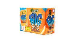 Zest-O Big Orange 10 x 250ml