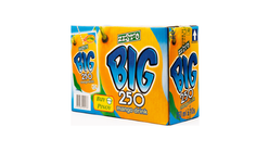 Zest-O Big Mango 10 x 250ml