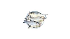 Fish Vally Hilsha 500g