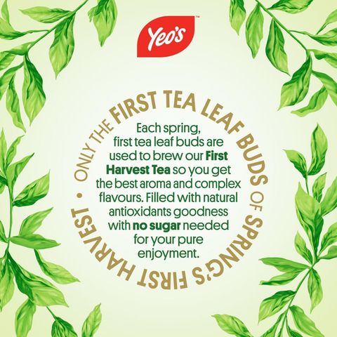Yeo's First Harvest Green Tea No Sugar 6 x 250ml