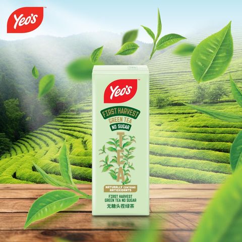 Yeo's First Harvest Green Tea No Sugar 6 x 250ml